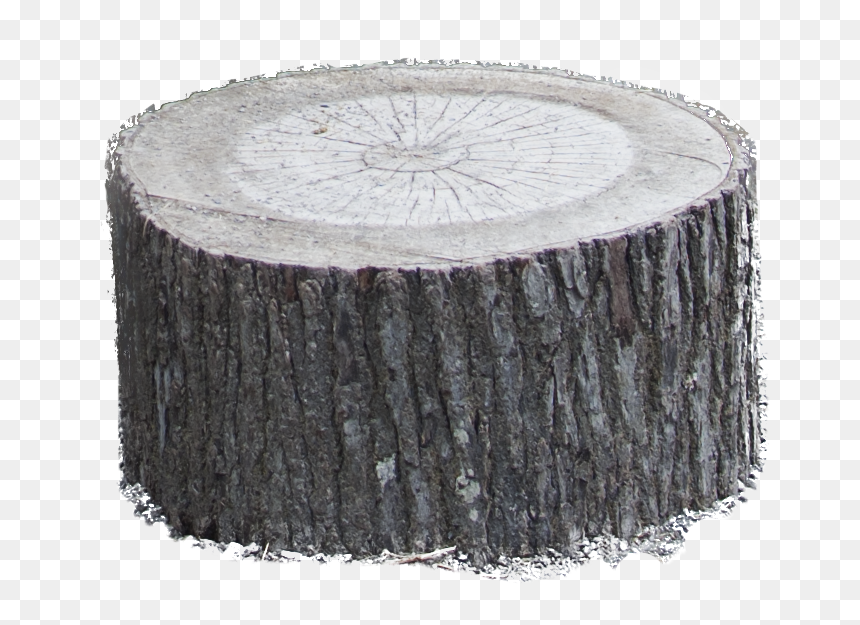 Thumb Image - Coffee Table, HD Png Download - tree trunk png