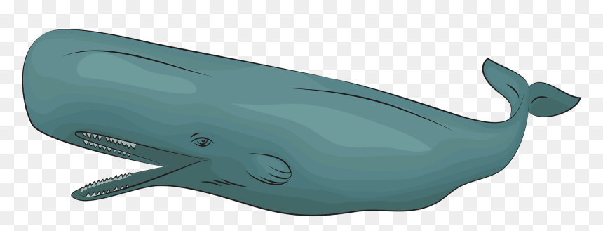 Wholphin, HD Png Download - sperm png