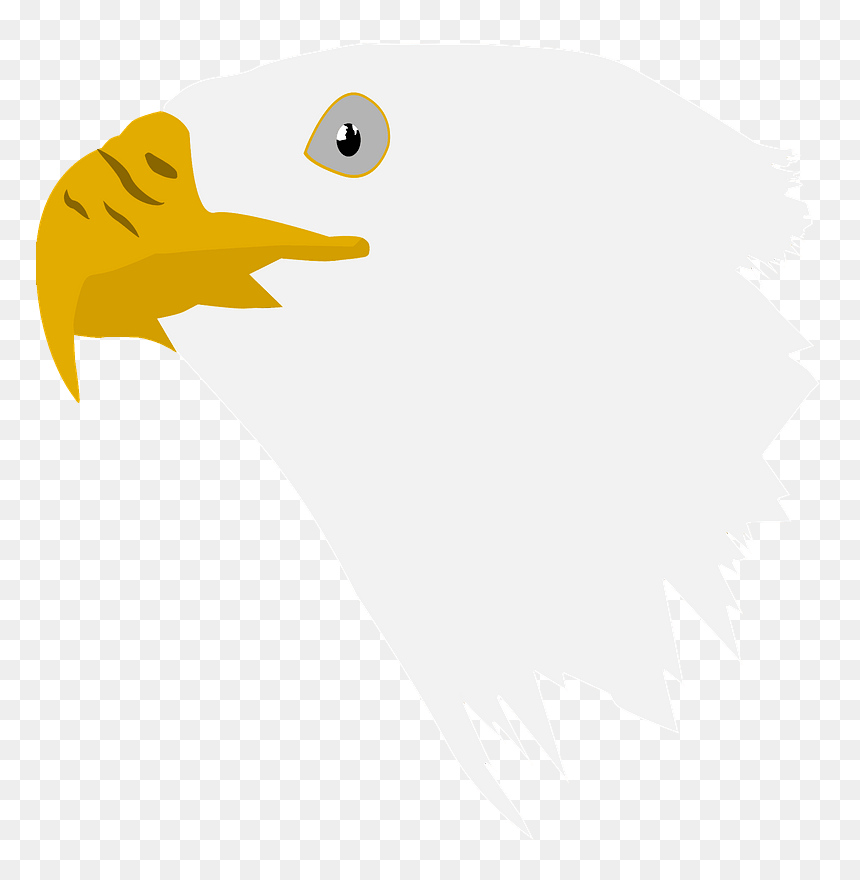 Eagle Head Clipart - Illustration, HD Png Download - eagle head png