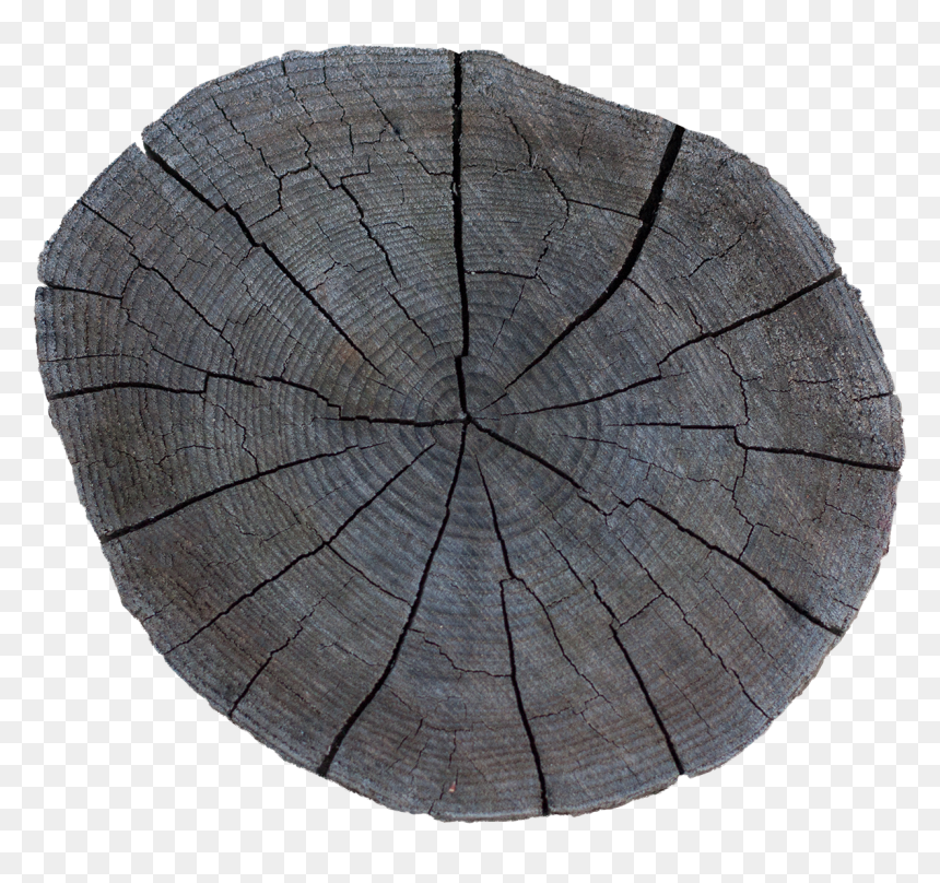 Preview - Tree Stump, HD Png Download - tree trunk png