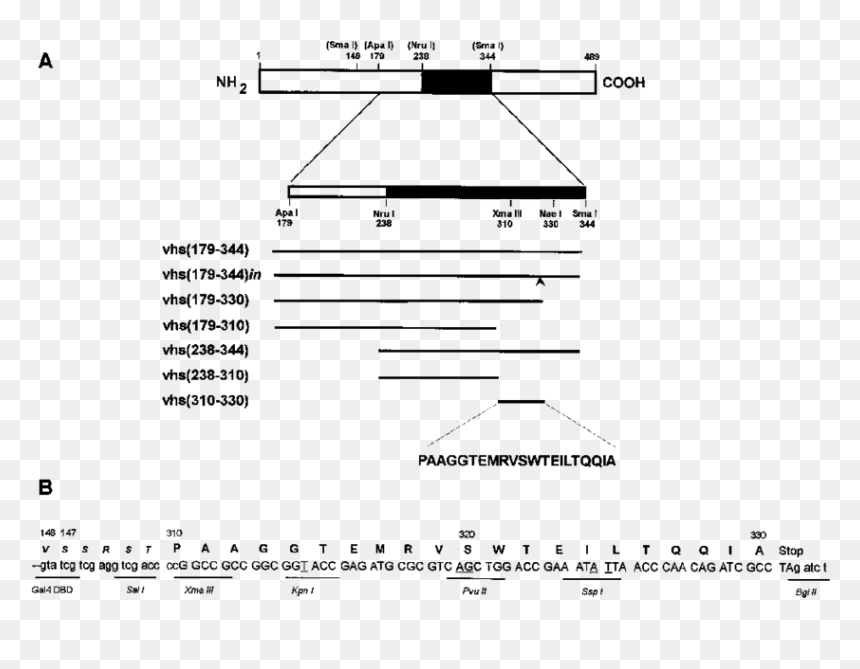 Diagram, HD Png Download - vhs png