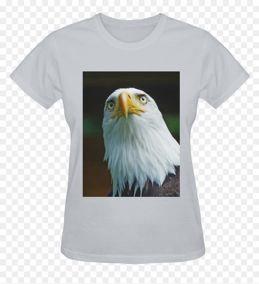 American Bald Eagle Head 001 14 Sunny Women"s T-shirt - Bald Eagle, HD Png Download - eagle head png