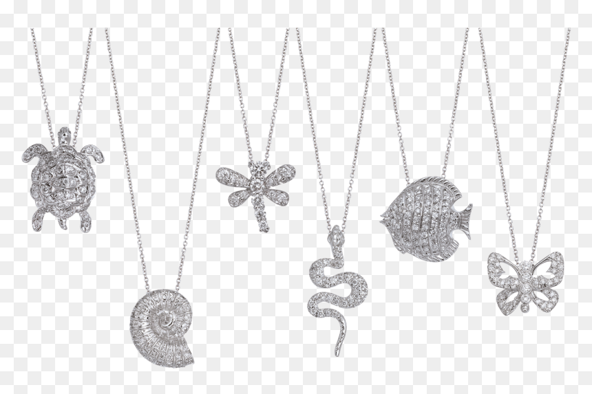 Tiny Treasures - Locket, HD Png Download - jewellery necklace png