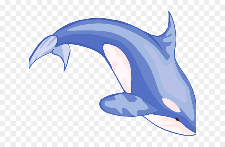 Sperm Whale Clipart Real - Vector Whale Png, Transparent Png - sperm png