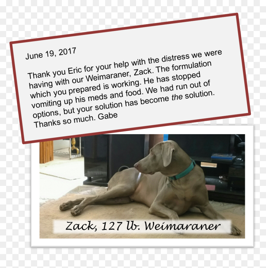Gabe The Dog - Dog Licks, HD Png Download - gabe the dog png