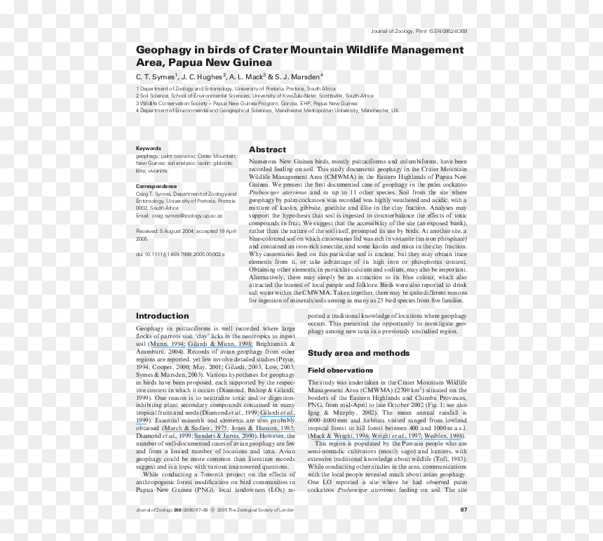 Document, HD Png Download - crater png