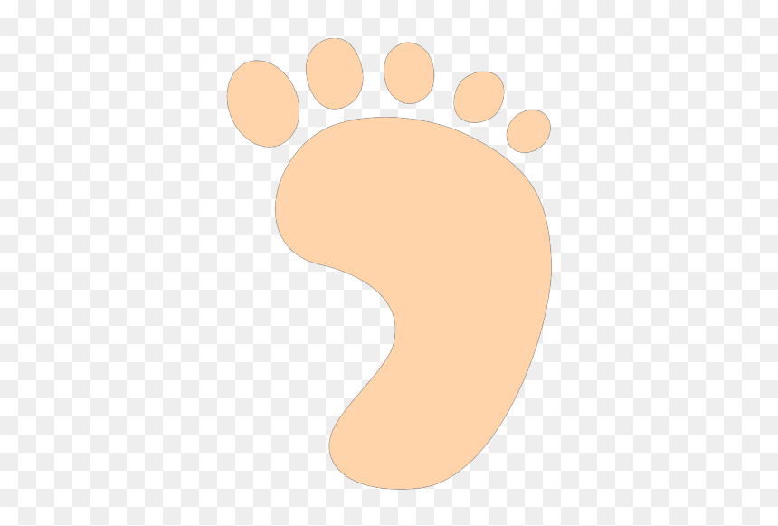 Illustration, HD Png Download - foot png