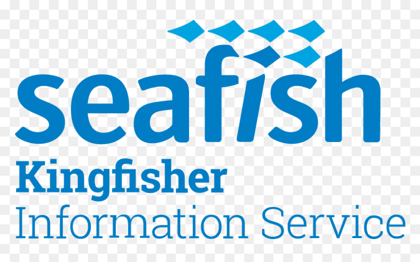 Graphic Design, HD Png Download - kingfisher logo png