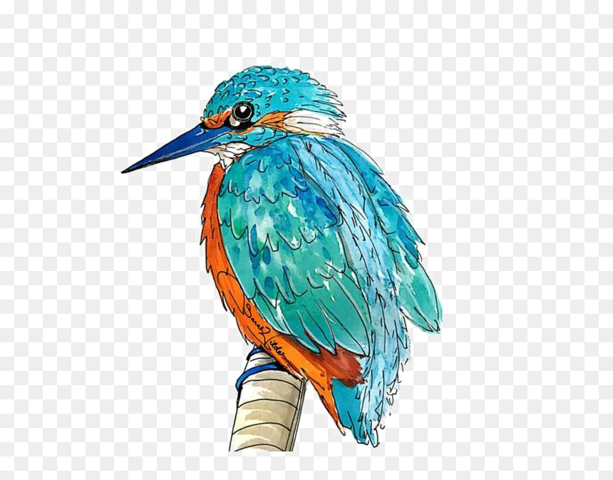 Kingfisher Png Transparent Picture - Animal Kin Oracle, Png Download - kingfisher logo png
