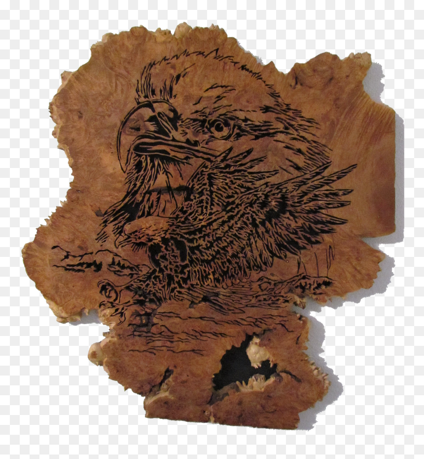 Img 8799 W - Porcupine, HD Png Download - eagle head png