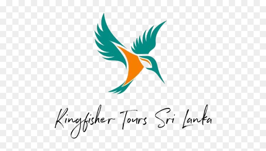 Kingfisher Tours Srilanka - Kingfisher Tours Sri Lanka, HD Png Download - kingfisher logo png