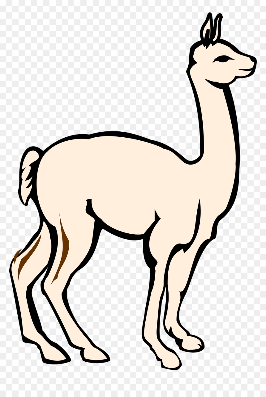 La Vicuña Gif, HD Png Download - alpaca png