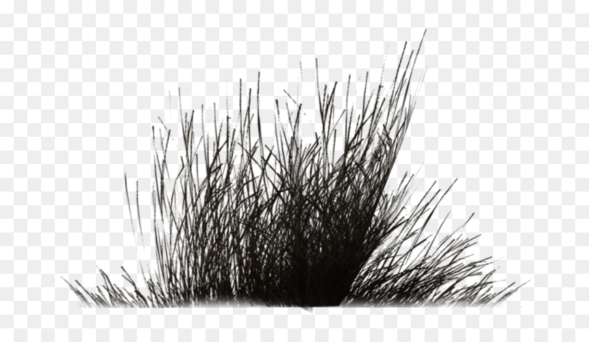 Winter Vegetation By Wolv - Bushes Clipart Black And White, HD Png Download - vegetation png