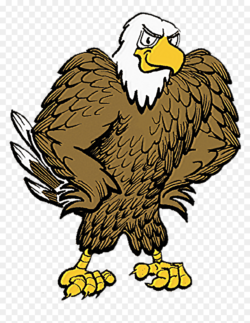 Eagle With Football Clipart Png Library Download Eagle - Eagle Clip Art, Transparent Png - eagle head png