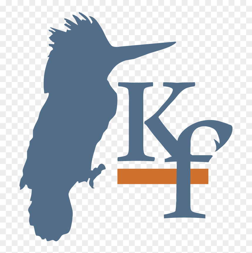Kingfisher Concierge & Property Management - Link Of Hampton Roads Logo, HD Png Download - kingfisher logo png