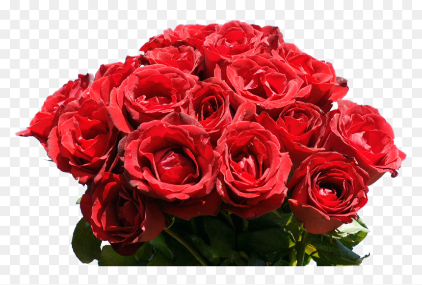 Red Rose Bouquet Wallpaper Hd, HD Png Download - rose bunch png