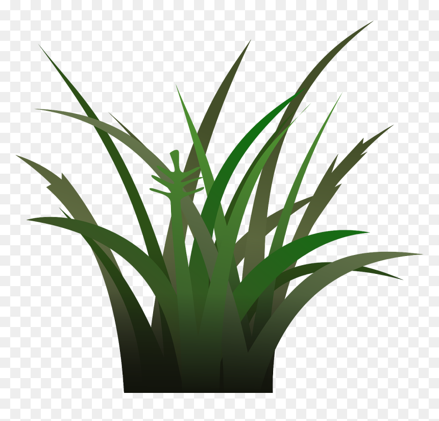 Transparent Background Vegetation Clipart, HD Png Download - vegetation png