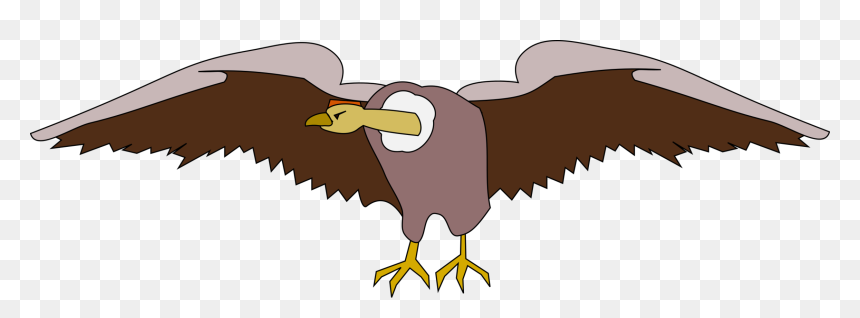 Eagle,bald Eagle,vulture - Ave Clipart, HD Png Download - vulture png