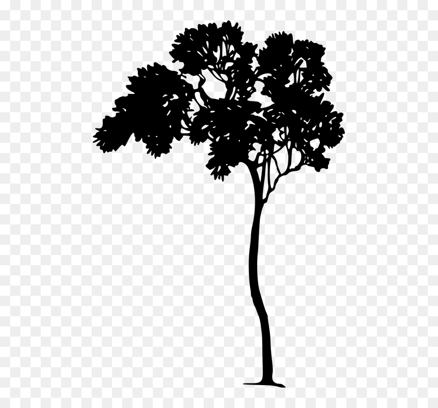Tree Silhouette Png Free, Transparent Png - vegetation png