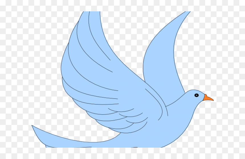Transparent Dove Png Transparent Background - Pigeons And Doves, Png Download - dove png transparent background