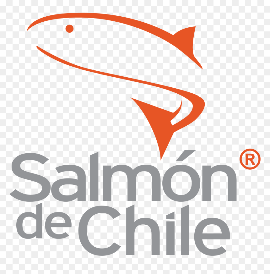 Chilean Salmon Marketing Council, HD Png Download - patagonia logo png