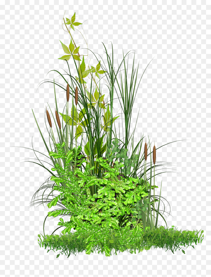 Végétation - Grass Png For Picsart, Transparent Png - vegetation png