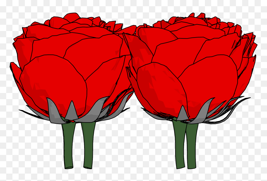Flowers Png Clipart - Garden Roses, Transparent Png - tulip png