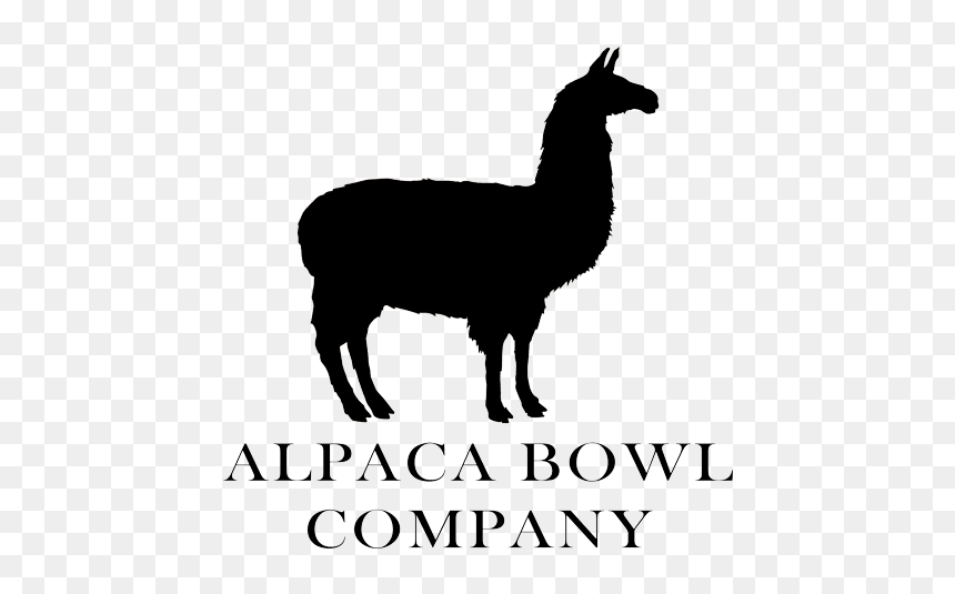 Leisure Uwa, HD Png Download - alpaca png