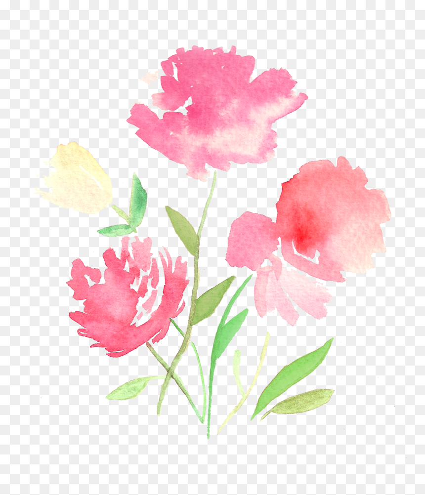 Tulip , Png Download - Gilliflower, Transparent Png - tulip png
