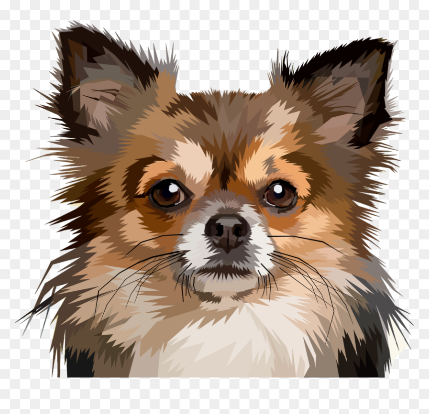 Chihuahua Puppy Pomeranian Pet Papillon Dog - Funny Memes Of Chihuahuas, HD Png Download - chihuahua png
