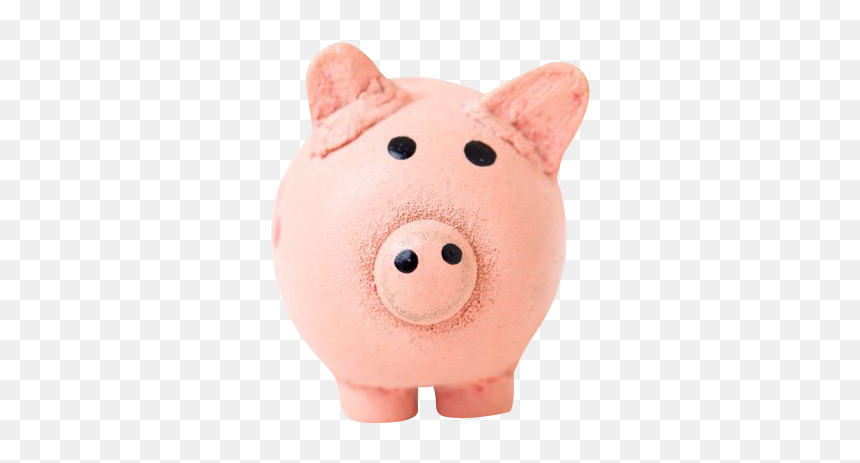 Money Piggy Bank - Domestic Pig, HD Png Download - piggy bank png