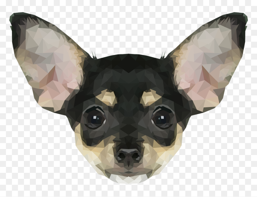 Chihuahua, HD Png Download - chihuahua png