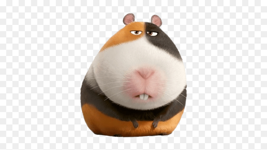 The Secret Life Of Pets Png Image - Norman Secret Life Of Pets, Transparent Png - hamster png