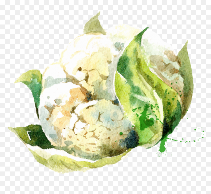 Paint Splatter Vector - Transparent Vegetable Watercolor Art, HD Png Download - watercolor paint splatter png