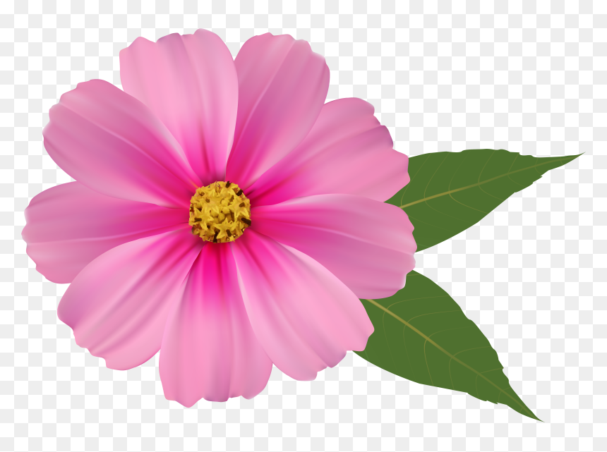 Flower Png Background Hd, Transparent Png - cherry blossom emoji png