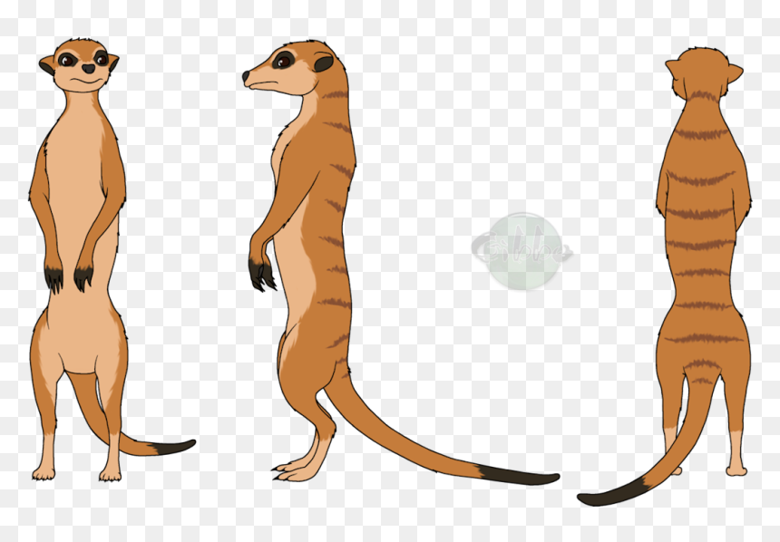 Meerkats Clipart Png, Transparent Png - meerkat png