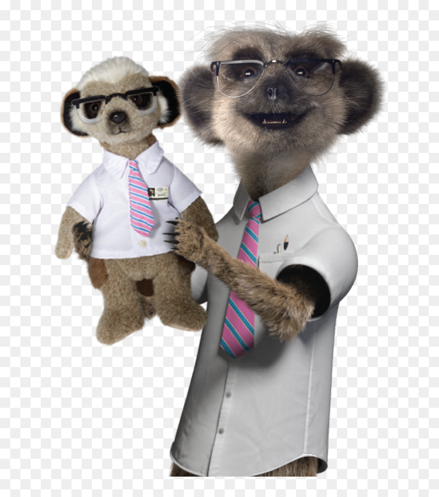 Punxsutawney Phil, HD Png Download - meerkat png
