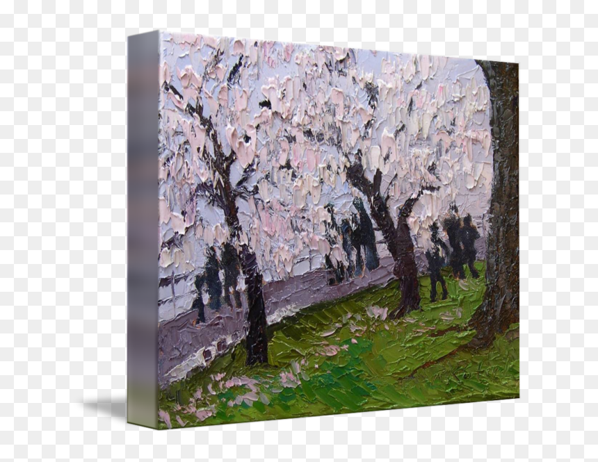 Canoe Birch, HD Png Download - cherry blossom emoji png