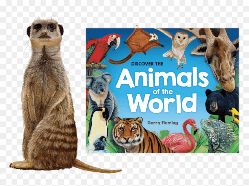 Discover The Animals Of The World, HD Png Download - meerkat png