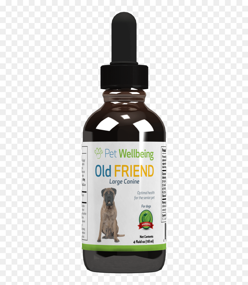 Cat Diarrhea Medicine, HD Png Download - meerkat png