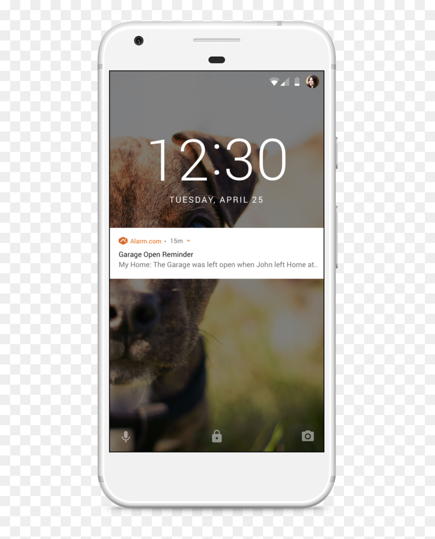 Meerkat, HD Png Download - meerkat png