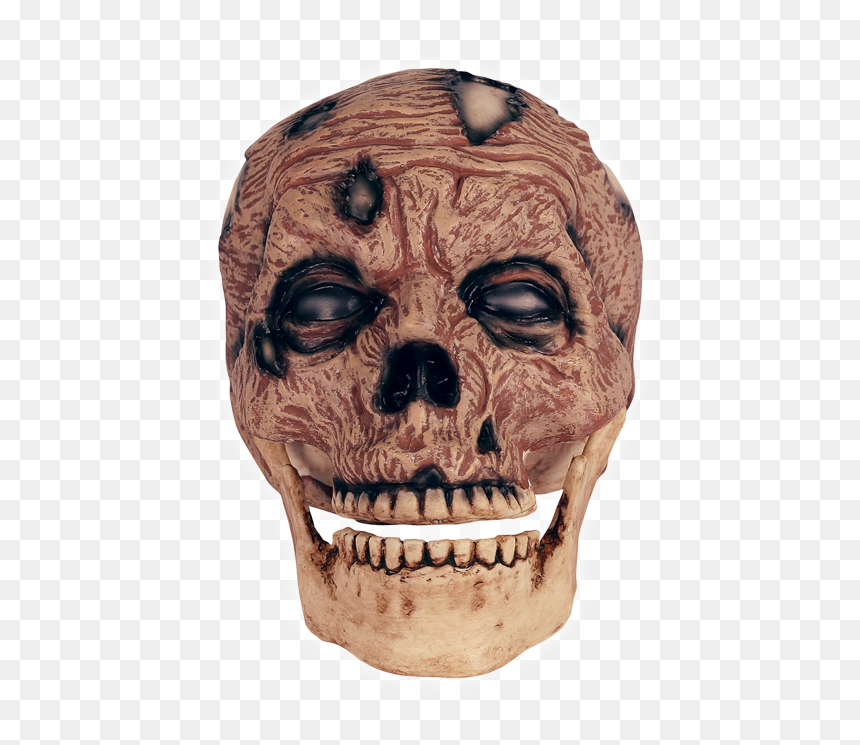 Zombie Head Png, Transparent Png - zombie head png