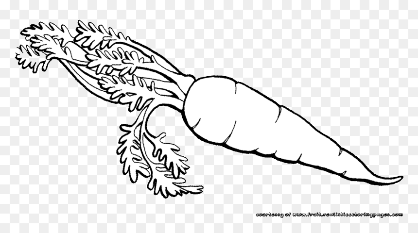 Vegetables Clipart Black And White, HD Png Download - sun clipart black and white png