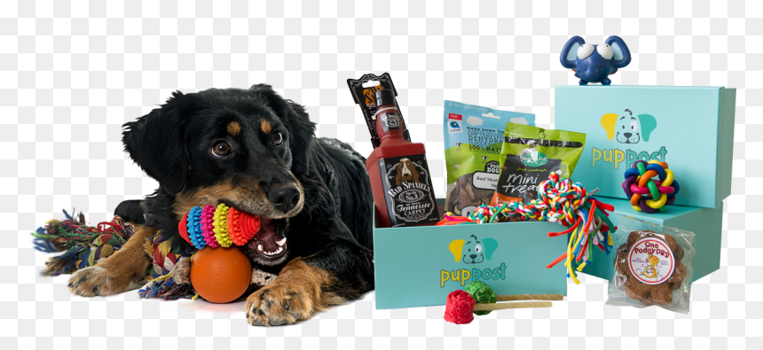 Hovawart, HD Png Download - dog toys png