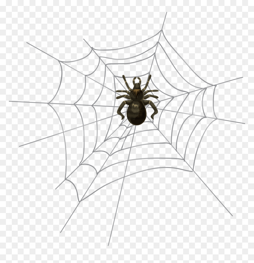 Spider Net Clipart, HD Png Download - transparent spider png