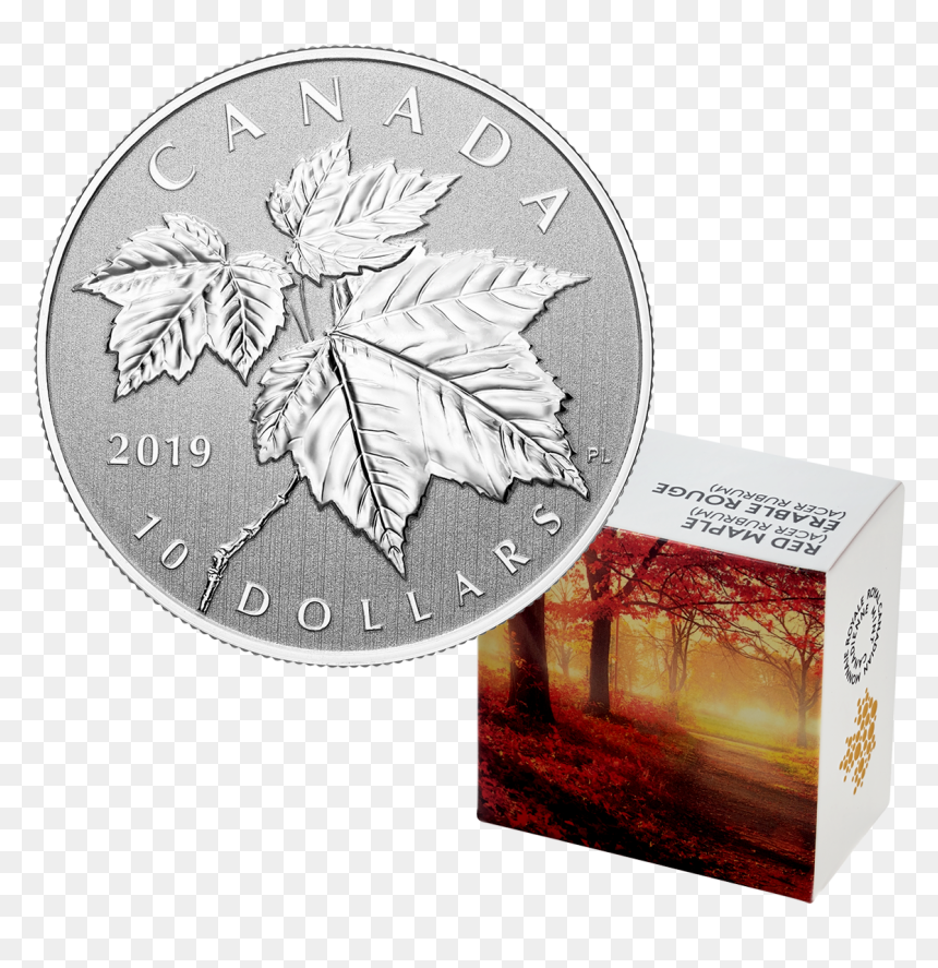 Maple Leaf 1 2 Oz Silber, HD Png Download - canada maple leaf png