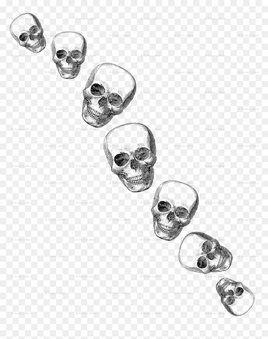 Skull, HD Png Download - sprinkles falling png
