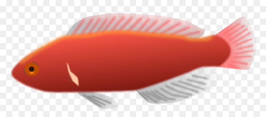 Long Fish Clip Art, HD Png Download - fish scales png