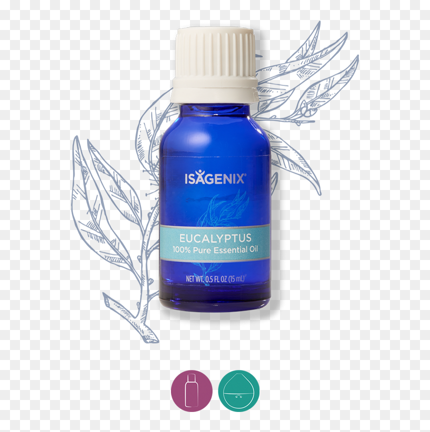 Isagenix Eucalyptus Oil, HD Png Download - essential oils png