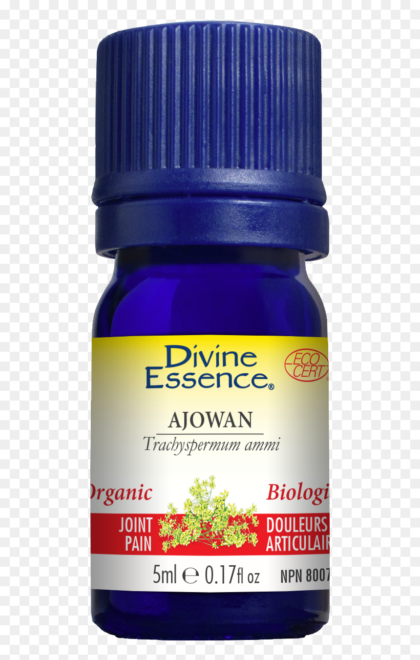 Divine Essence Helichrysum, HD Png Download - essential oils png